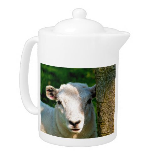 CUTE LITTLE SHEEP TEAPOT