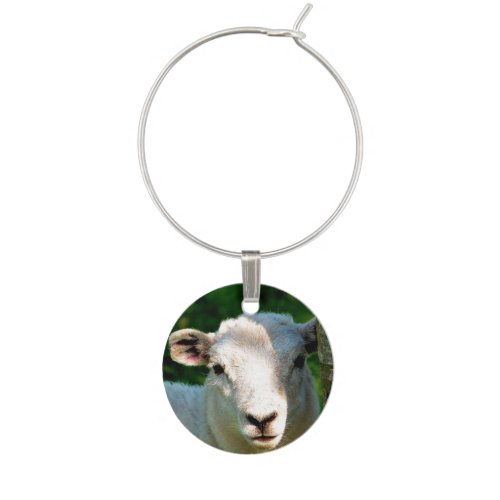 CUTE LITTLE SHEEP WINE GLASS CHARM