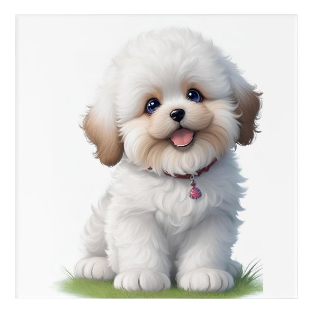 Cute Little Shih Tzu Puppy  Dog Lover Acrylic Print (Front)