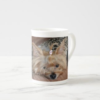 Cute Little Sleepy Yorkshire Terrier Puppy