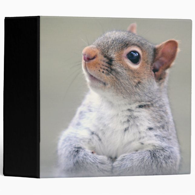Cute Little Soft and Fluffy Gray Squirrel 3 Ring Binder (Front/Spine)