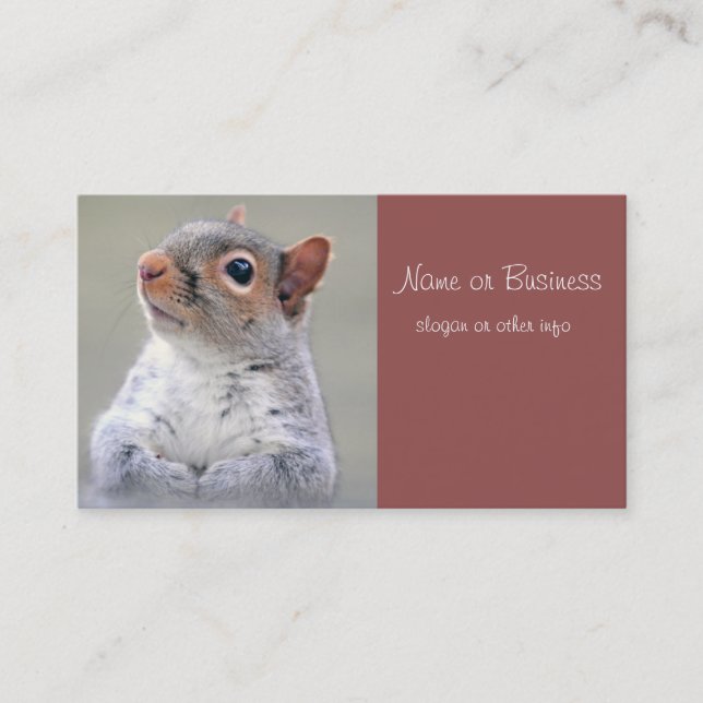 Cute Little Soft and Fluffy Gray Squirrel Business Card (Front)