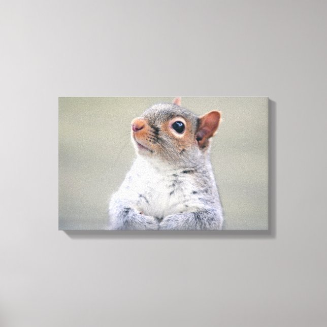 Cute Little Soft and Fluffy Gray Squirrel Canvas Print (Front)