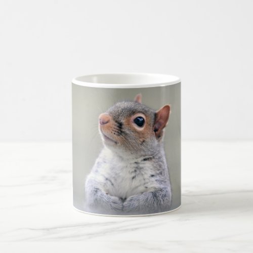 Cute Little Soft and Fluffy Gray Squirrel Coffee Mug