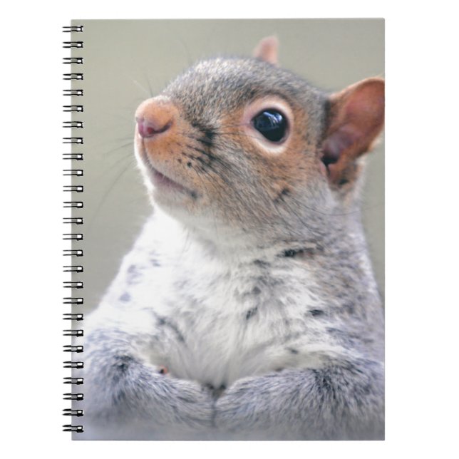 Cute Little Soft and Fluffy Gray Squirrel Notebook (Front)