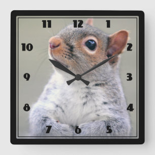 Cute Little Soft and Fluffy Gray Squirrel Square Wall Clock