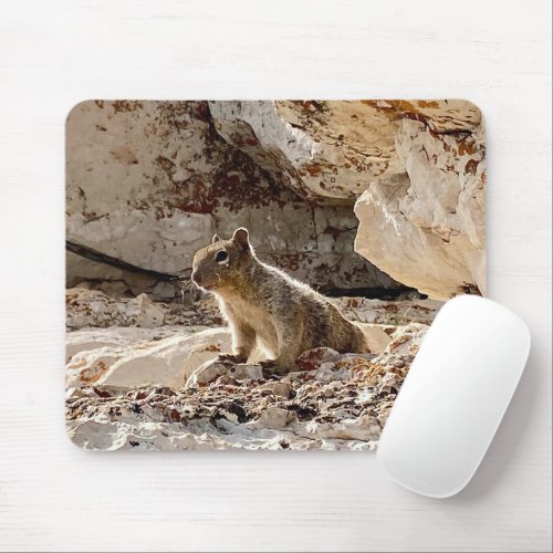 Cute Little Squirrel at Grand Canyon North Rim Mouse Pad