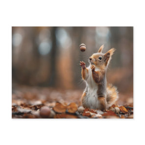 Cute little squirrel catching an acorn postcard