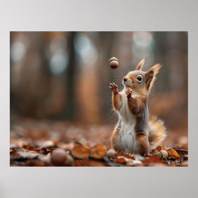 Cute little squirrel catching an acorn poster (Front)