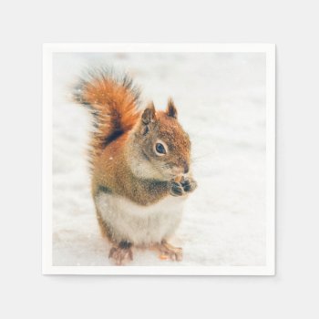 Cute Little Squirrel Eating Nuts Napkins by Vanillaextinctions at Zazzle