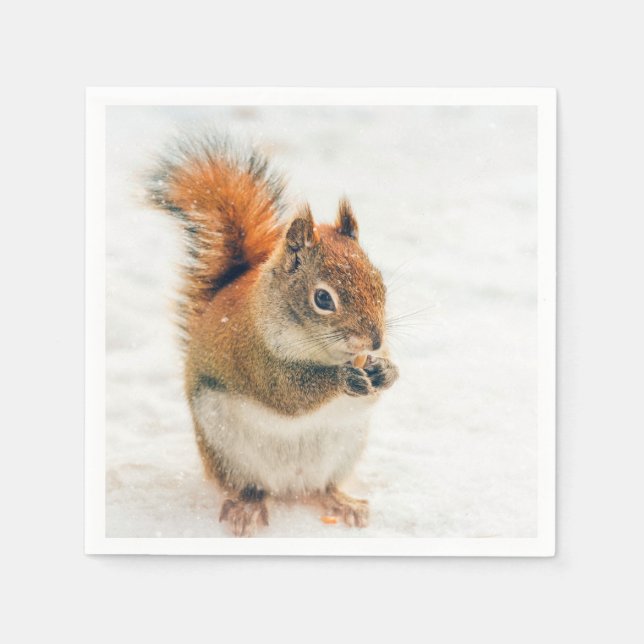 Cute Little Squirrel Eating Nuts Napkins (Front)