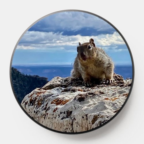 Cute Little Squirrel Wildlife at Grand Canyon PopSocket