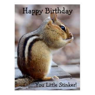 Chipmunk Birthday Cards | Zazzle