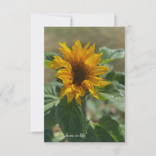 Cute Little Sunflower Note Card (Front)