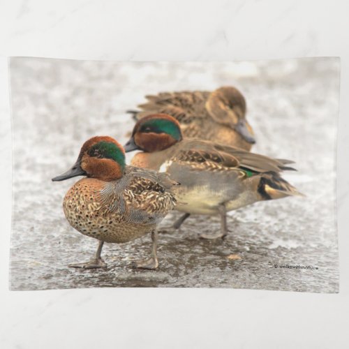 Cute Little Trio of Green_Winged Teals Trinket Tray