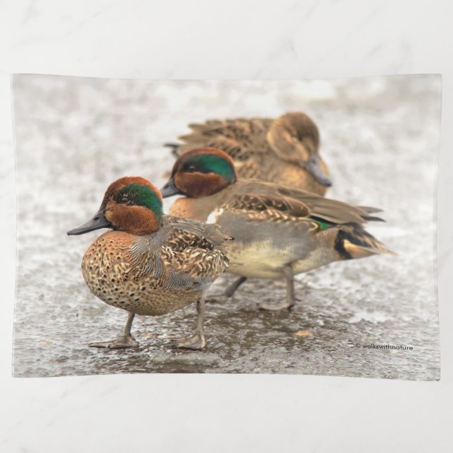 Cute Little Trio of Green-Winged Teals Trinket Tray (Front)