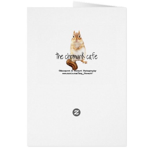 Cute Little Tufted Titmouse (Back)