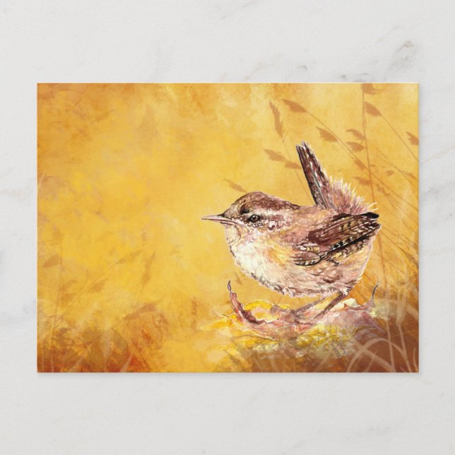 Cute Little Watercolor House Wren Bird Nature art Postcard (Front)