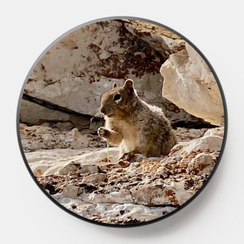Cute LittleSquirrel at Grand Canyon North Rim PopSocket