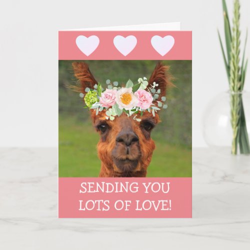 Cute Llama And Hearts Get Well Card