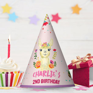 Cute Llama Animal Birthday Party Colorful Mexican Hat