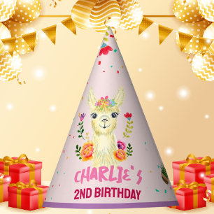 Cute Llama Animal Birthday Party Colorful Mexican Hat