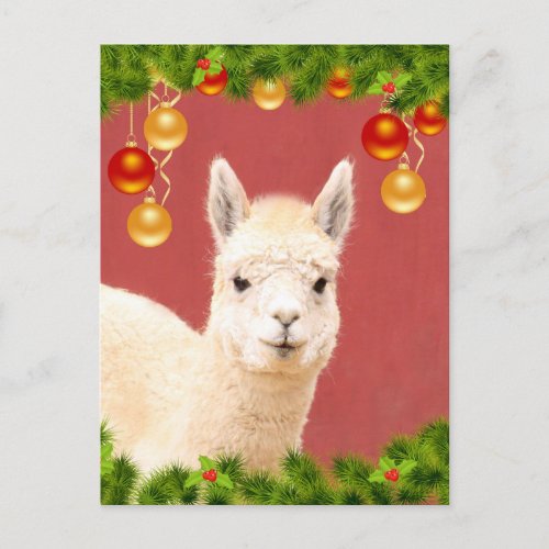 Cute Llama Christmas Holiday Postcard