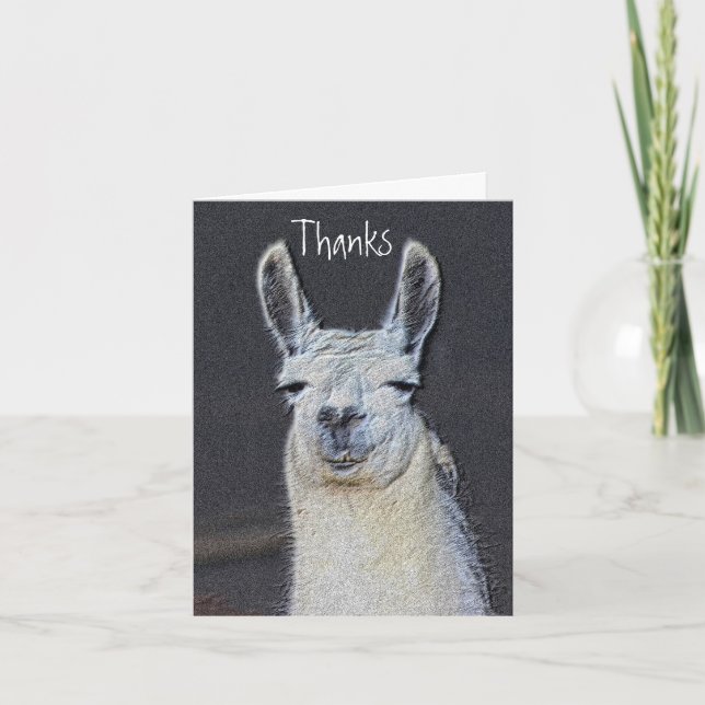 Cute Llama Face Animal Art Thank You Card (Front)
