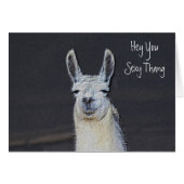Cute Llama Face Humorous Birthday (Front Horizontal)