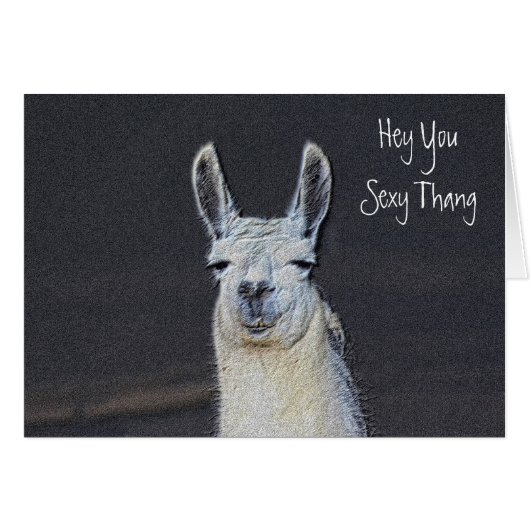 Cute Llama Face Humorous Birthday Cards (Front Horizontal)