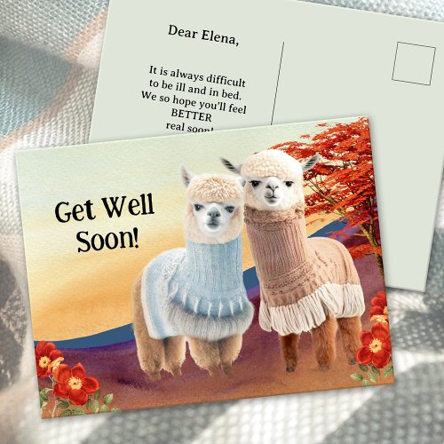 Cute Llama Get Well Soon Postcard