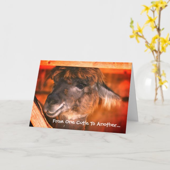 Cute Llama Humorous Animal Birthday  Card (Yellow Flower)