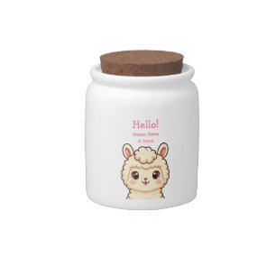 Cute llama illustration design candy jar