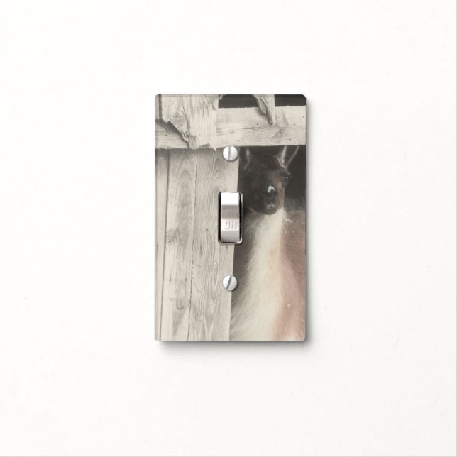 Cute Llama In Barn In Black And White Light Switch Cover (In Situ)