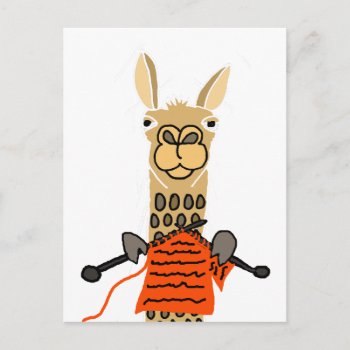 Cute Llama Knitting Cartoon Postcard by patcallum at Zazzle