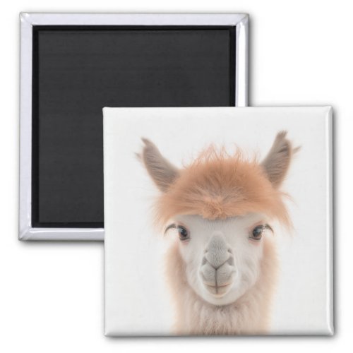 Cute Llama Magnet Alpaca  Collectable