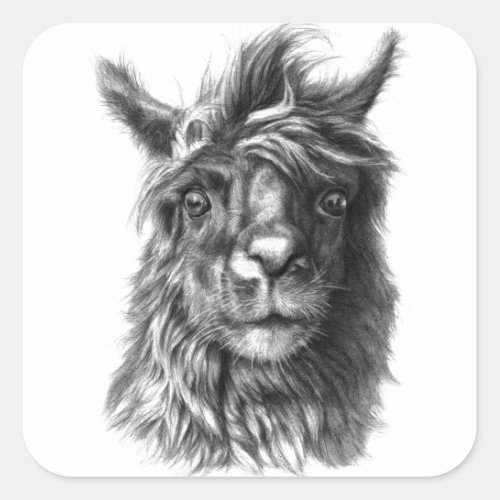 Cute Llama portrait Square Sticker