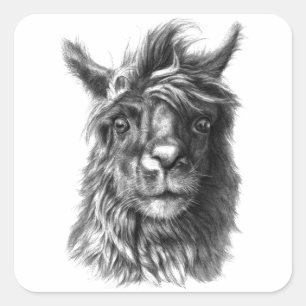 Cute Llama portrait Square Sticker
