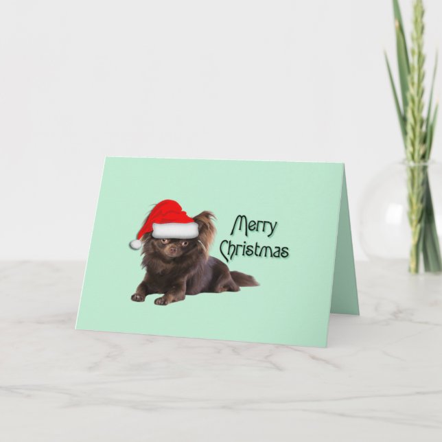 Cute Long Hair Chocolate Chihuahua Christmas Card (Front)