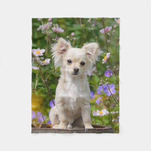 Cute long_haired Chihuahua Dog Puppy Photo _ comfy Fleece Blanket