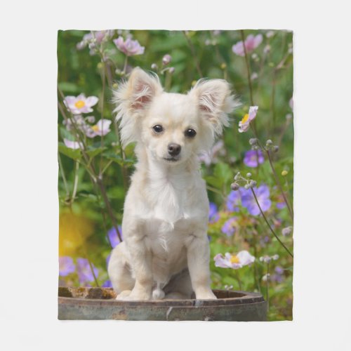Cute long_haired Chihuahua Dog Puppy Photo _ Fleece Blanket