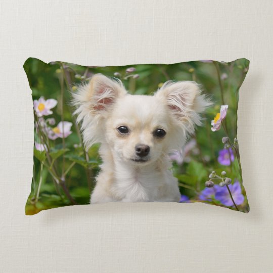 Cute Long Haired Chihuahua Dog Puppy Photo Throw Accent Pillow