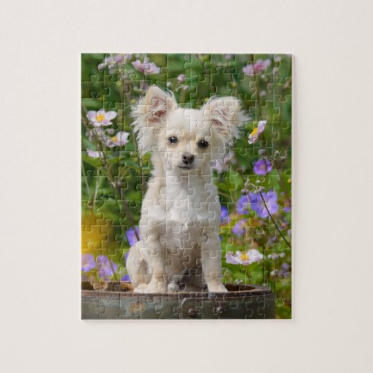 Cute Long Haired Cream Chihuahua Dog Puppy Game Jigsaw Puzzle