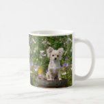 Cute Long-haired Cream Chihuahua Dog Puppy Photo _ Coffee Mug at Zazzle