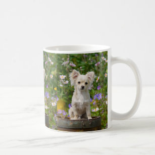Cute long-haired cream Chihuahua Dog Puppy Photo _ Coffee Mug