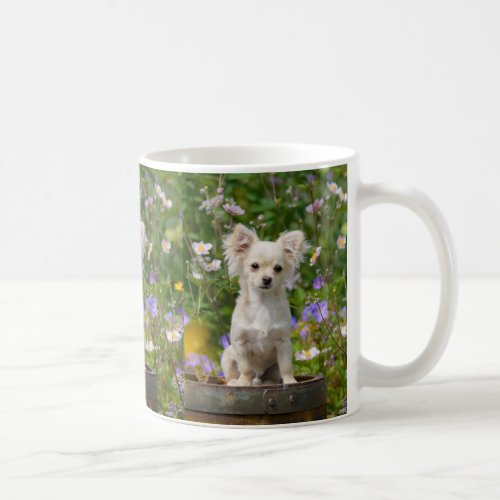 Cute long_haired cream Chihuahua Dog Puppy Photo _ Coffee Mug