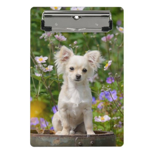 Cute long_haired cream Chihuahua Dog Puppy Photo _ Mini Clipboard
