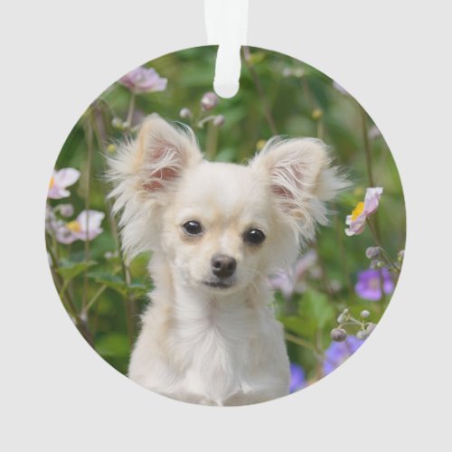 Cute long_haired cream Chihuahua Dog Puppy Photo Ornament