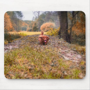 Cute long haired dachshund dog in the forest mouse pad