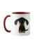 Cute Long Haired Dachshund Puppy Dog